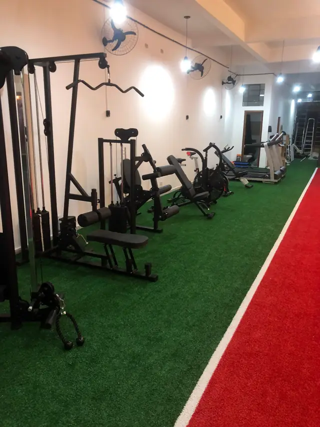 Galeria VIP 10