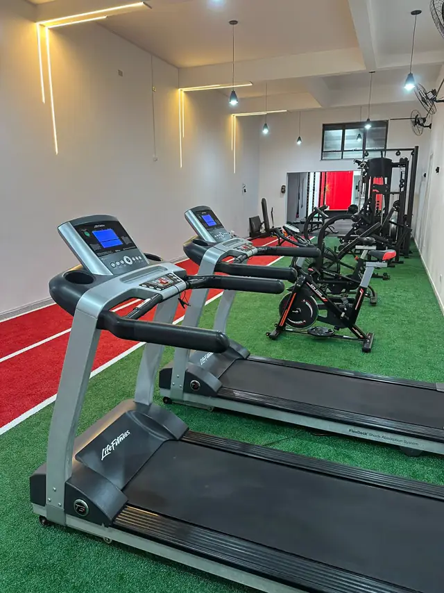 Galeria VIP 8