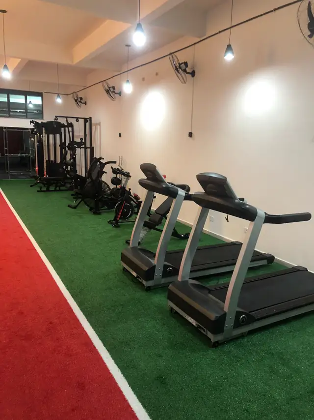 Galeria VIP 9